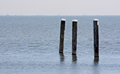 Postes