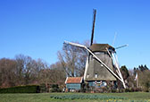 Riekermolen