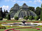 Palmenhaus