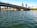 Nuevo Danubio