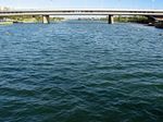 Nuevo Danubio