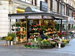Florister�a