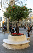 Banco en el Paseo de Gracia