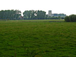 Campo