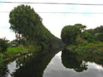 Canal
