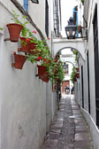 Callej&oacute;n de las Flores