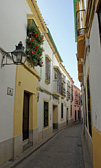 Calle en la juder&iacute;a