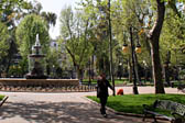 Jardines Plaza Col&oacute;n