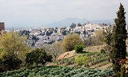 El Albaic�n