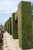 Jardines Nuevos