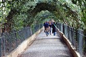 Paseo de las adelfas