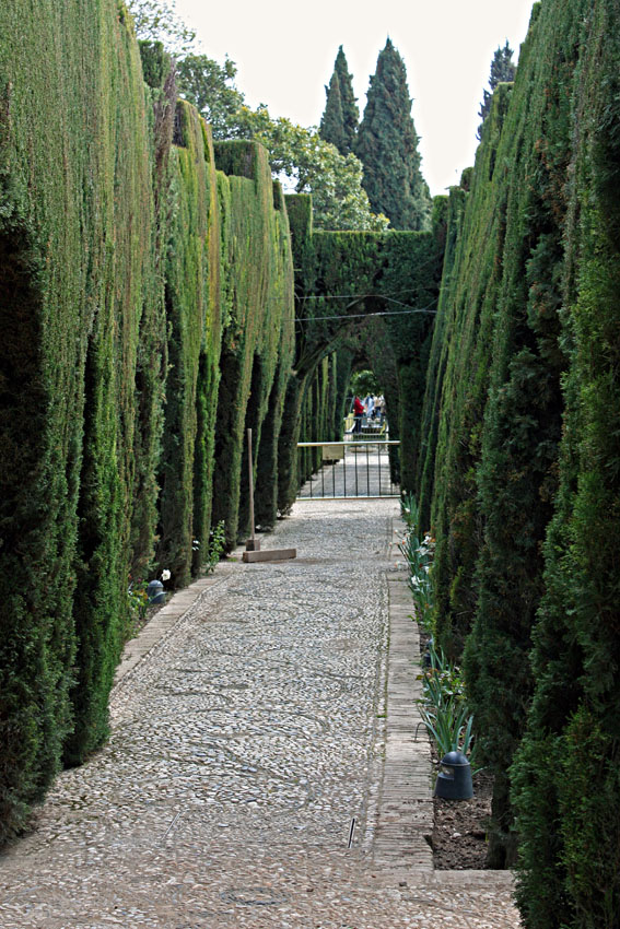 Setos en los jardines bajos. Generalife