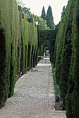 Jardines Nuevos