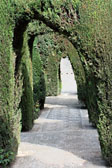 Jardines Nuevos
