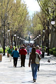 Carrera del Genil