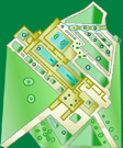Planta del Generalife
