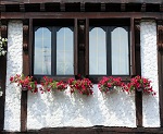 Flores en la ventana