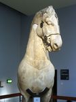 Caballo de la piramide