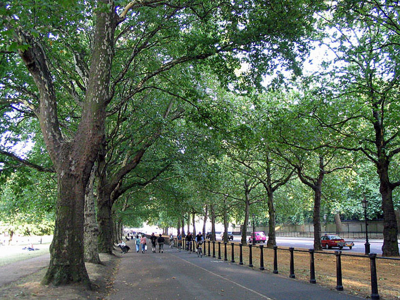 Paseo por Green Park, Londres