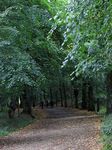 Hampstead Heath