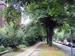 Calle de Hapsteath