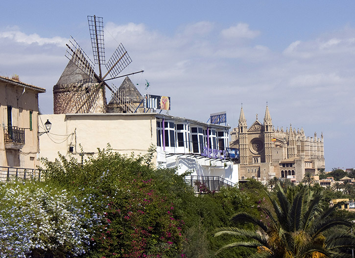Molinos con la catedral de Palma al fondo