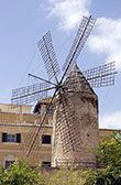 Molino