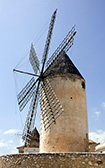 Molino
