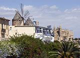 Molino