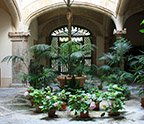 Patio con vegetaci&oacute;n