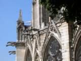 G&aacute;rgolas de Notre Dame