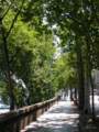 Paseo a la orilla del Sena