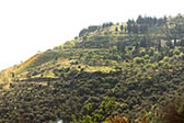 Monte near Delphi. Greek Landscape
