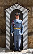 Guardia del castillo