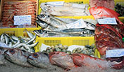 Pescado fresco